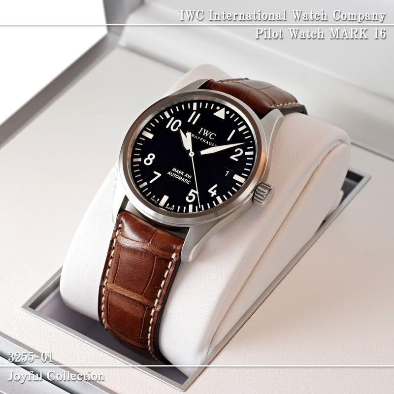 IWC_Mark_16.jpg