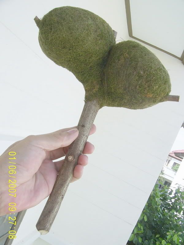 รูปภาพ