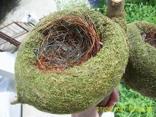 รูปภาพ