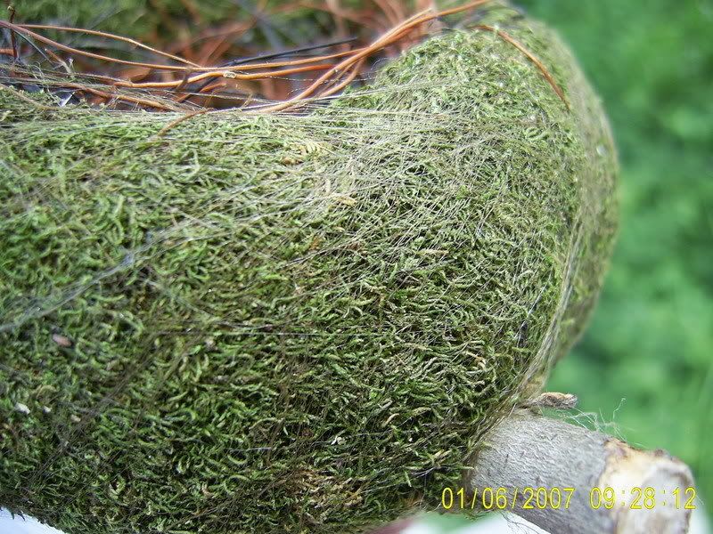 รูปภาพ