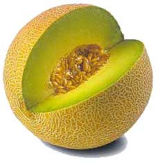 khasiat buah melon,tips buah,gratis, terbaru,www.whistle-dennis.blogspot.com.