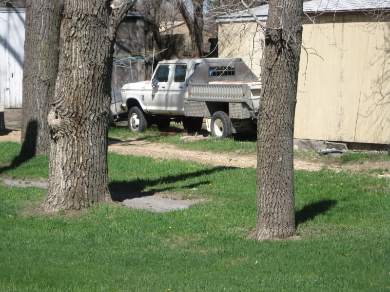 013-1.jpg