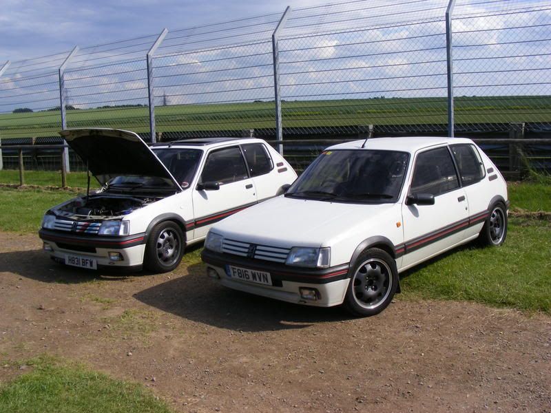 TwinWhite205sonGWs.jpg