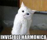 c4e9d0c2.jpg image by cats_doing_stuff