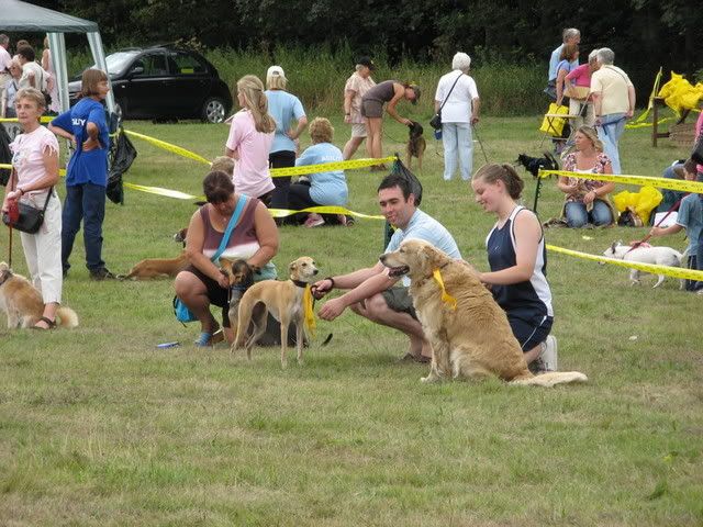 IMG_0087.jpg