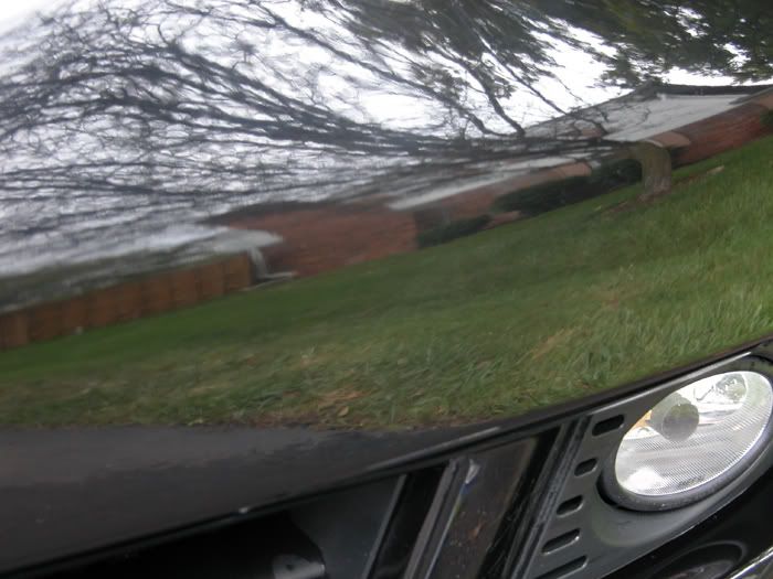 How to clean bugs' corpse off your front bumper? Acura World