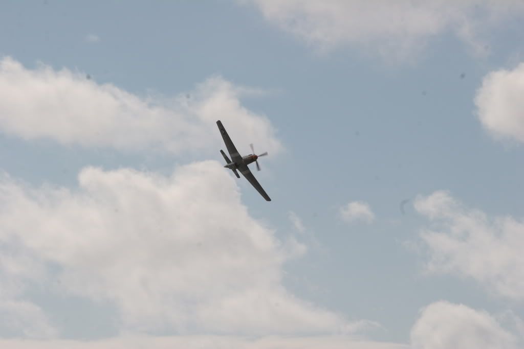 IMAGE: http://i97.photobucket.com/albums/l208/philbyuk/pets/IMG_2636.jpg