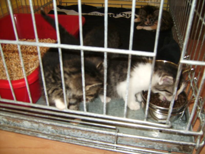 BILD0681.jpg