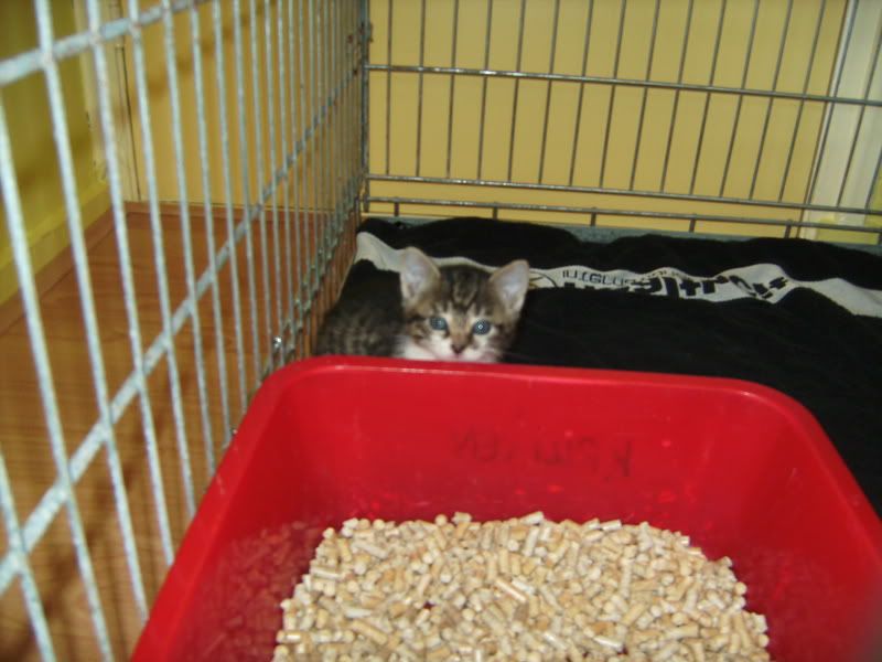 BILD0683.jpg