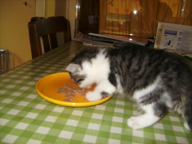 BILD0716.jpg