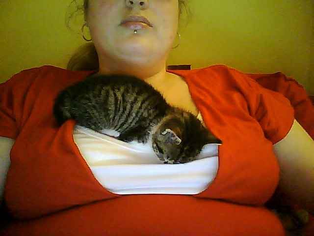 Snapshot72.jpg
