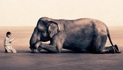 elephant-.jpg