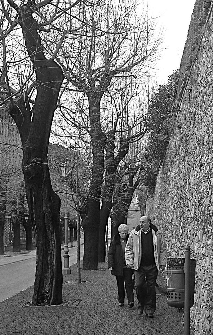 v500_248_2_web.jpg