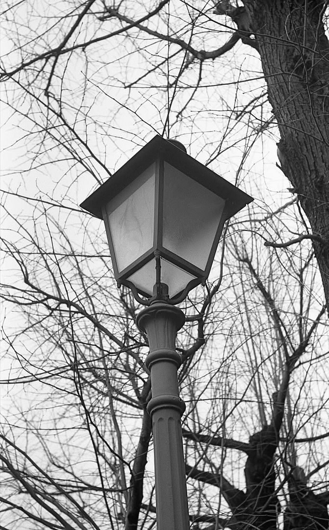 v500_249_2_web.jpg