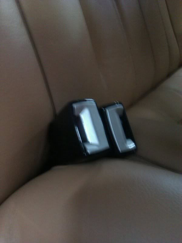 seatbelts.jpg
