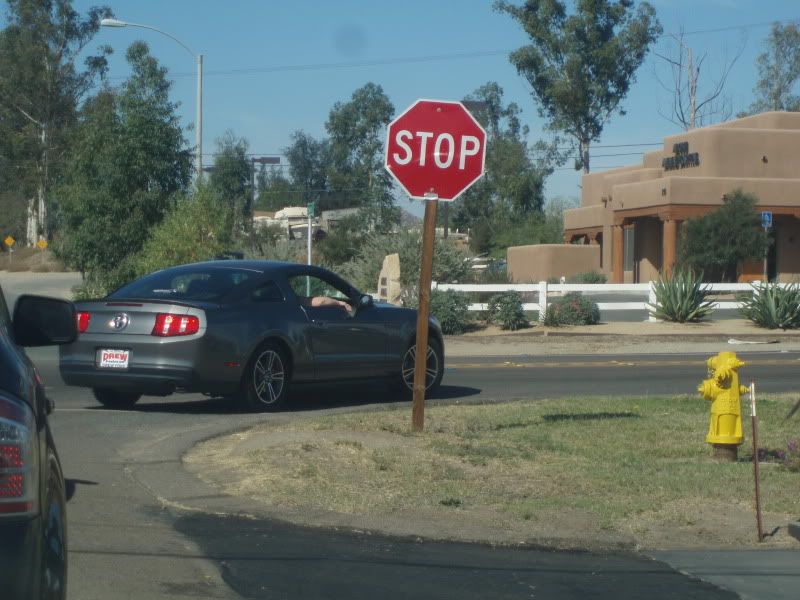 PB070045.jpg