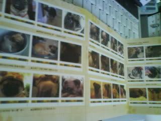 Photo Sharing and Video Hosting at Photobucket