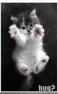 a hug anyone please?