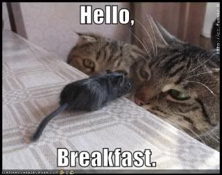 To cheer up all us bipolars