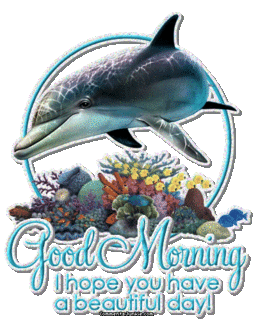 Good Morning
