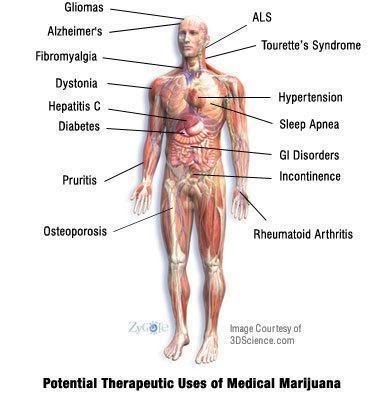 www.colorado-chronix.com