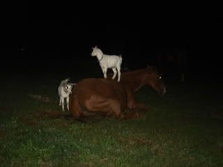 DSC01034.jpg