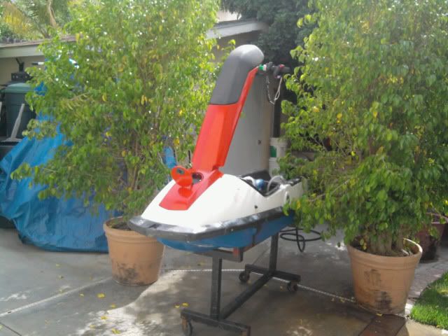 ski4.jpg