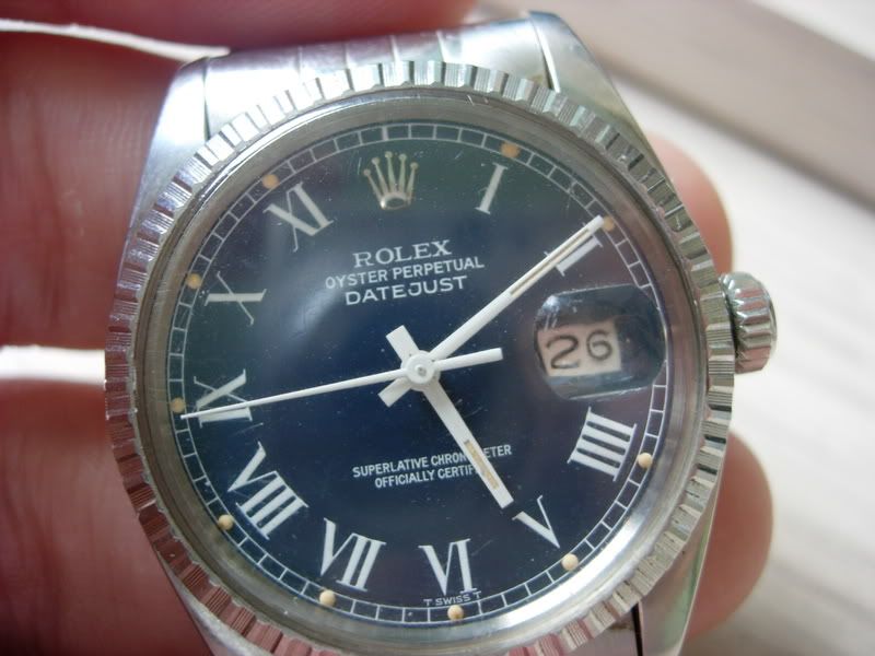 buckley dial