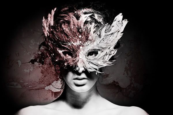 Black Swan Pictures, Images and Photos