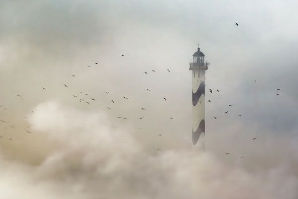 Eagles Around Lighthouse Fog Pictures, Images and Photos