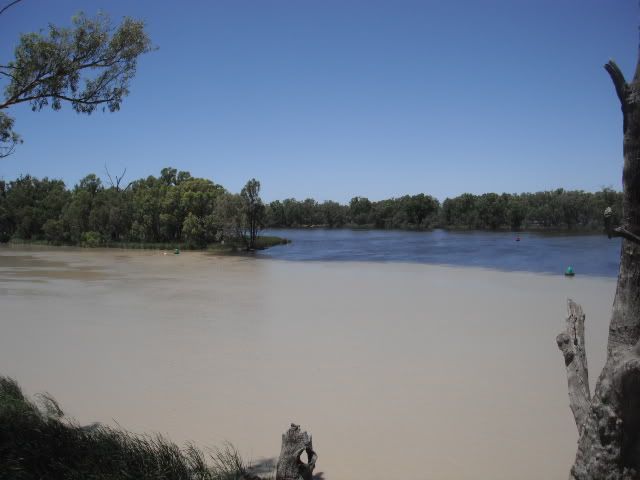 Junction of the Darling and Murray Rivers