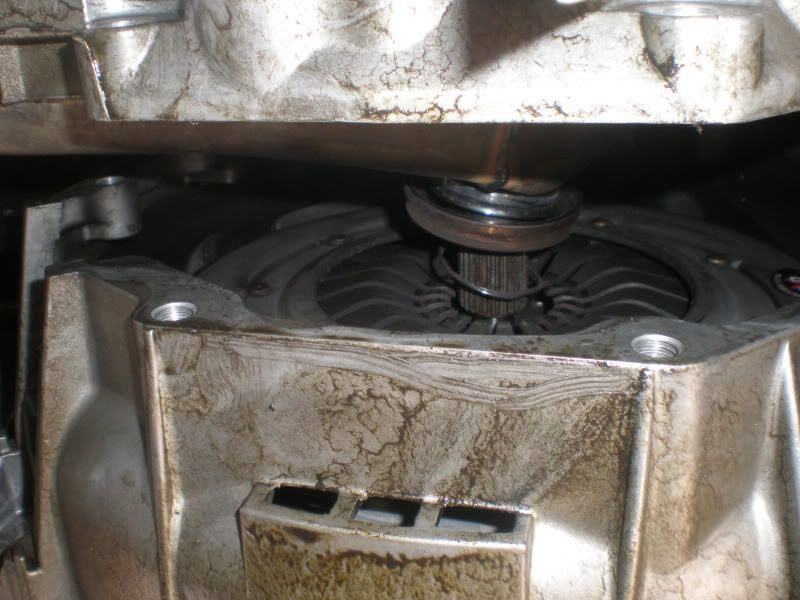 PA170046.jpg
