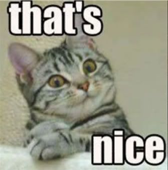 what are you  dr.phil? Pictures, Images and Photos