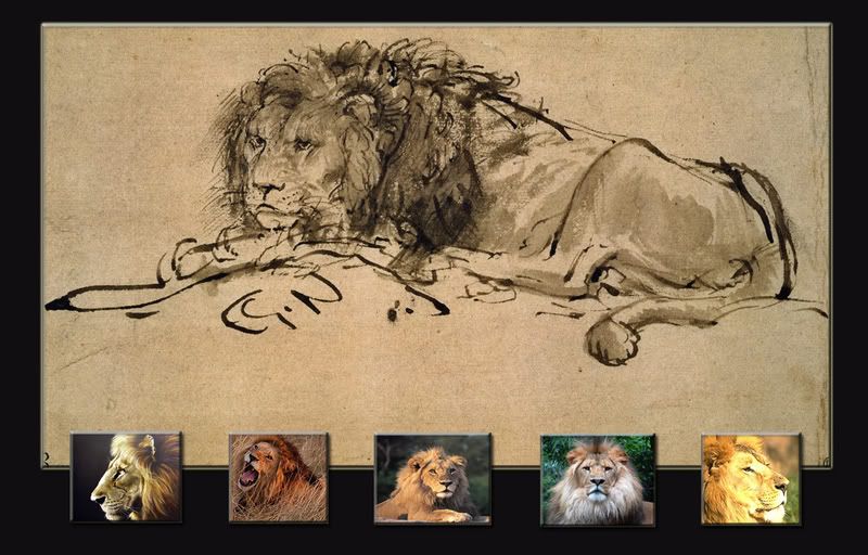 lion wallpaper. lion wallpaper Image