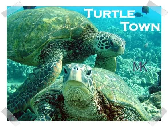 turtle_town_21.jpg picture by Turtle2power