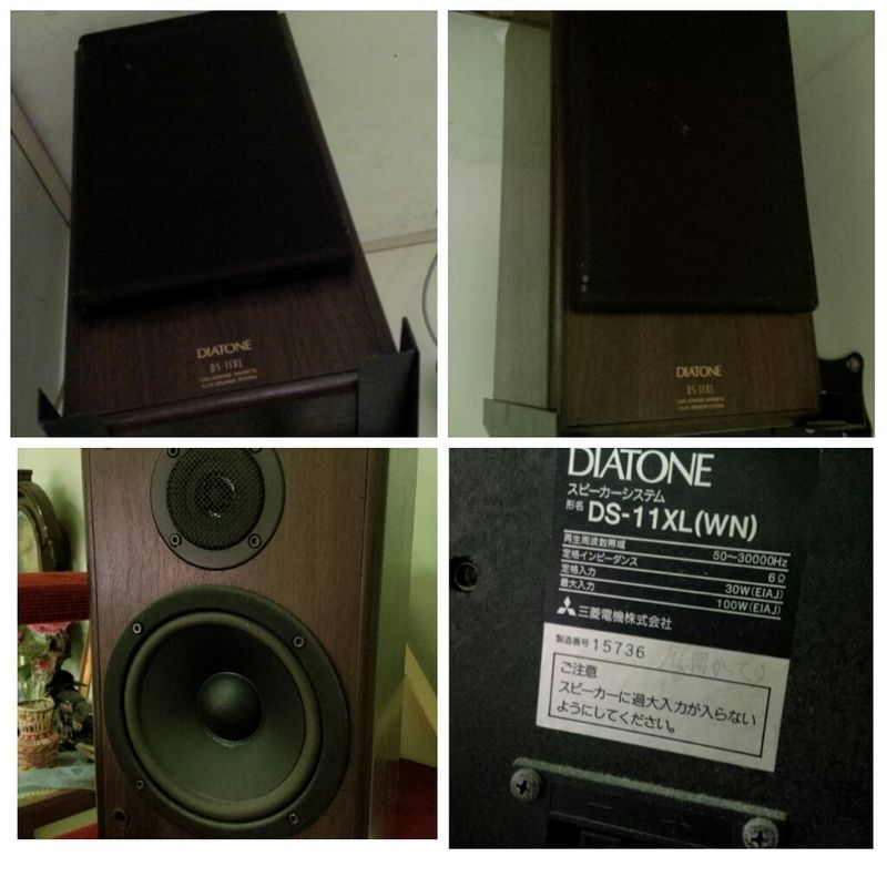 Cặp Diatone DS-11XL