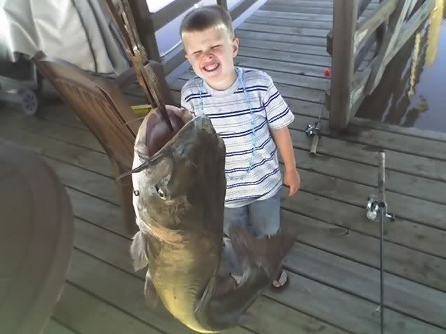 catfish.jpg