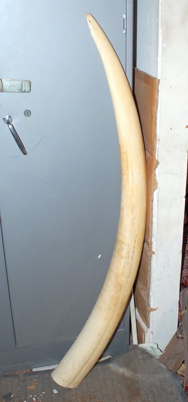 DSC_0001.jpg