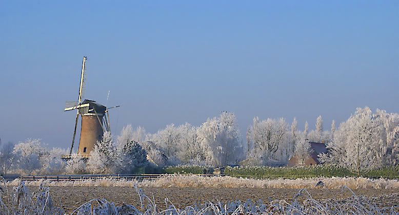 Fotografie