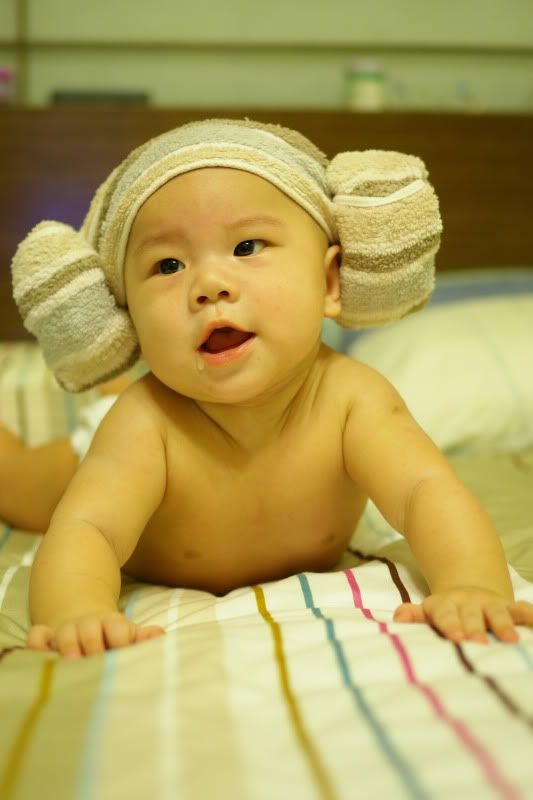 小妡妡~10/27更新~