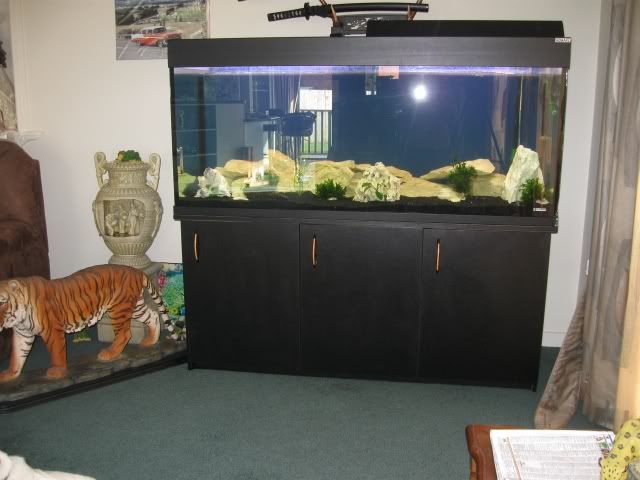 FISHTANK003.jpg