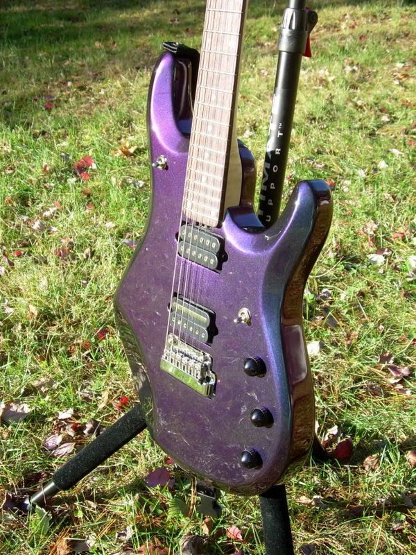 JP6Purple1.jpg