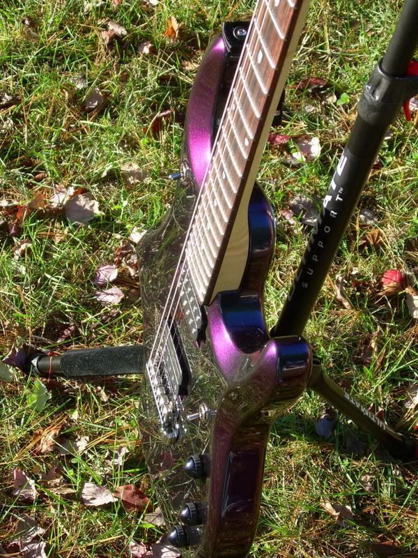 JP6Purple2.jpg