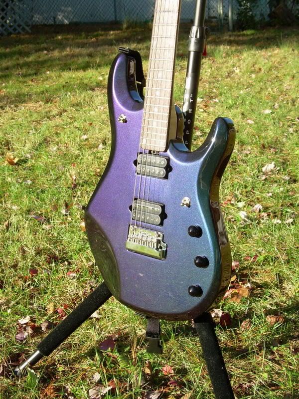 JP6PurpleGreen.jpg