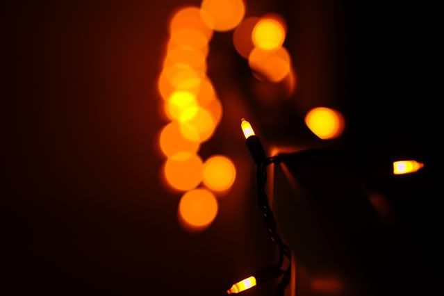 IMAGE: http://i97.photobucket.com/albums/l226/zelseman/IMG_5006.jpg