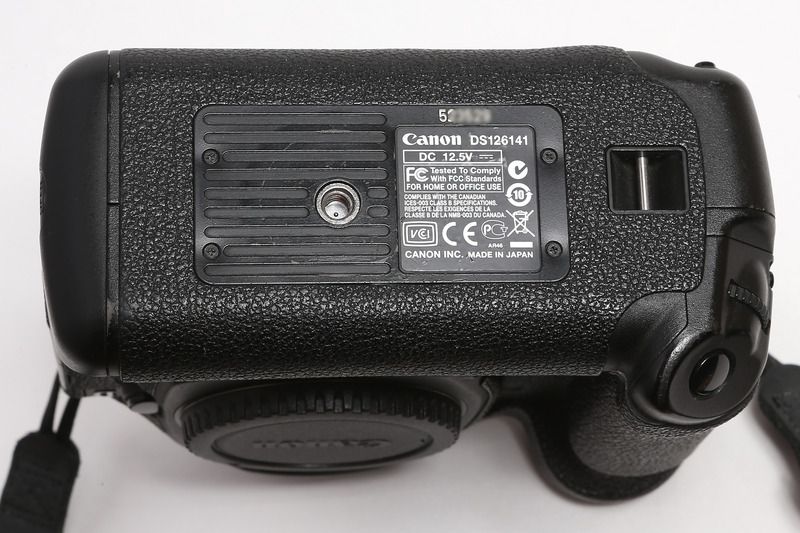 IMAGE: http://i97.photobucket.com/albums/l229/alexxn/20150814-IMG_5106_zpstmxmzhao.jpg