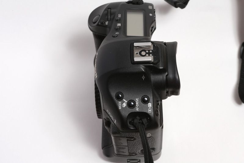 IMAGE: http://i97.photobucket.com/albums/l229/alexxn/20150814-IMG_5108_zpsickrfydl.jpg