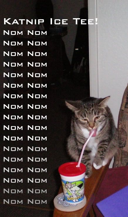 katnip_icedtea.jpg