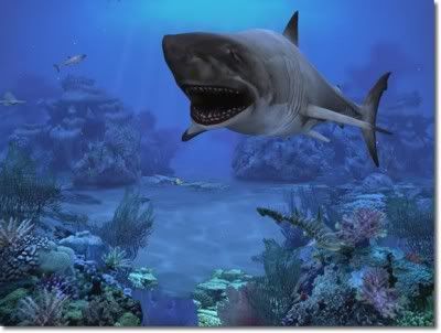 Baixar 3D Sharks Aquarium Screensaver+Serial Grátis