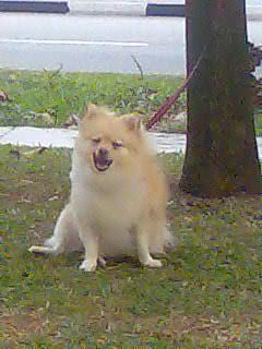 Photobucket - Video and Image Hosting